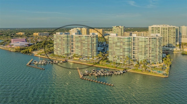 aerial view with a water view