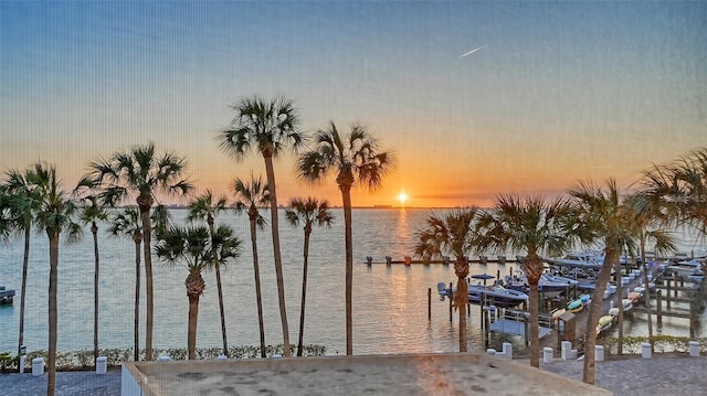 property view of water with a dock