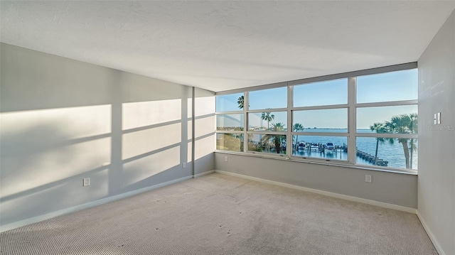 unfurnished room featuring light carpet and a water view