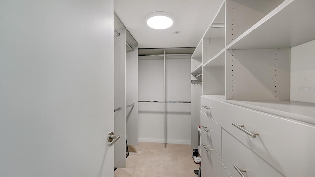 walk in closet featuring light carpet