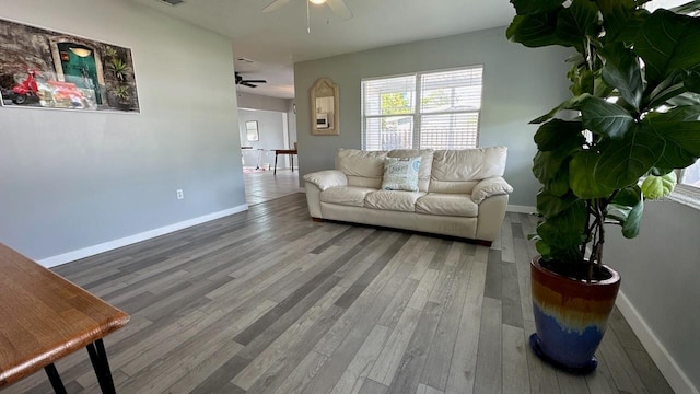 living room with wood-type flooring and ceiling fan