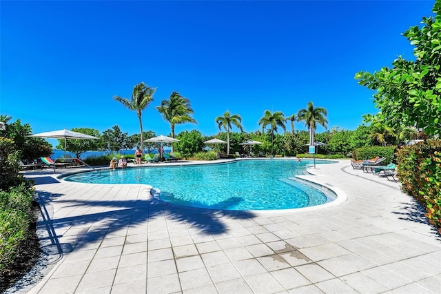 view of pool with a patio