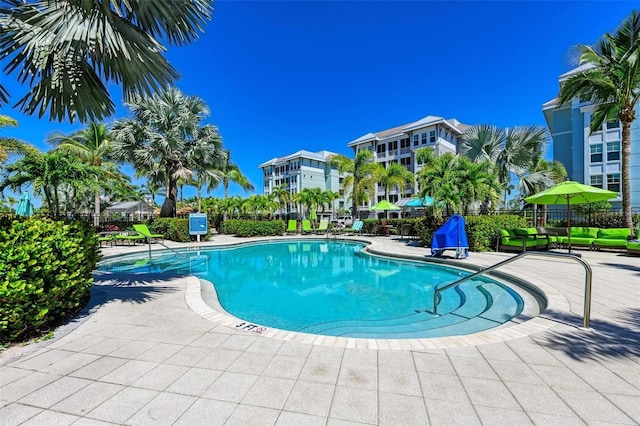 view of pool featuring a patio