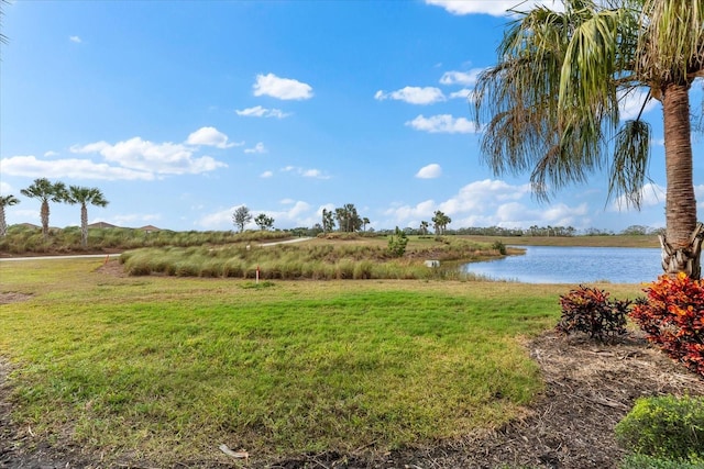 view of yard with a water view