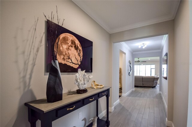 hall featuring hardwood / wood-style flooring and crown molding