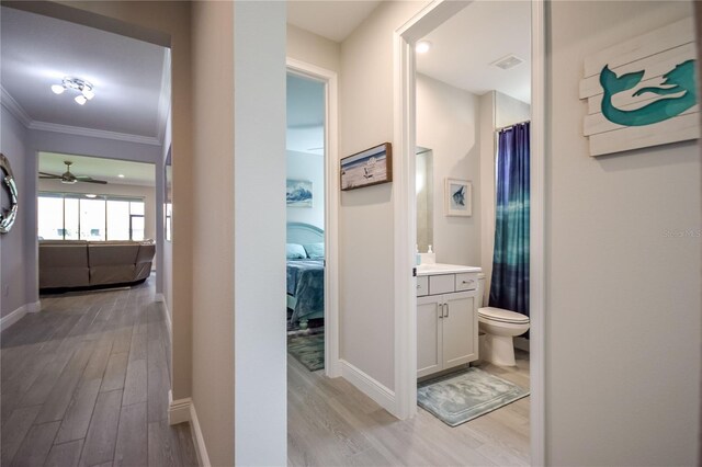 hallway with light hardwood / wood-style flooring and ornamental molding