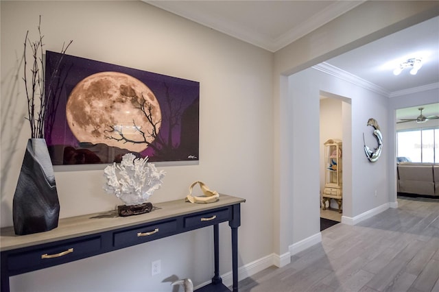 corridor with crown molding and hardwood / wood-style flooring