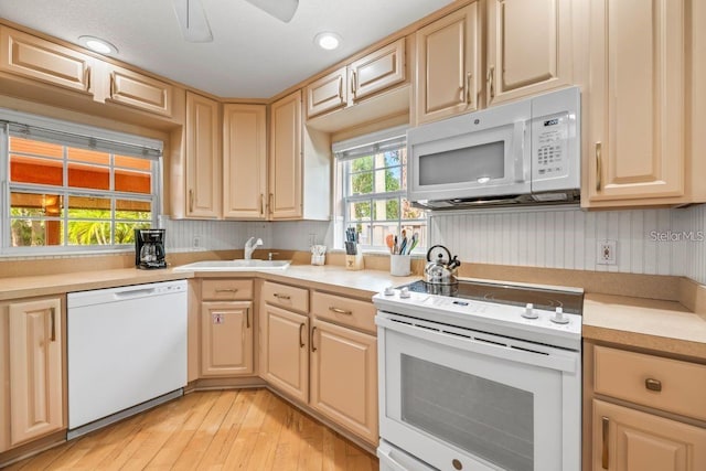 kitchen featuring light brown cabinetry, white appliances, ceiling fan, sink, and light hardwood / wood-style flooring