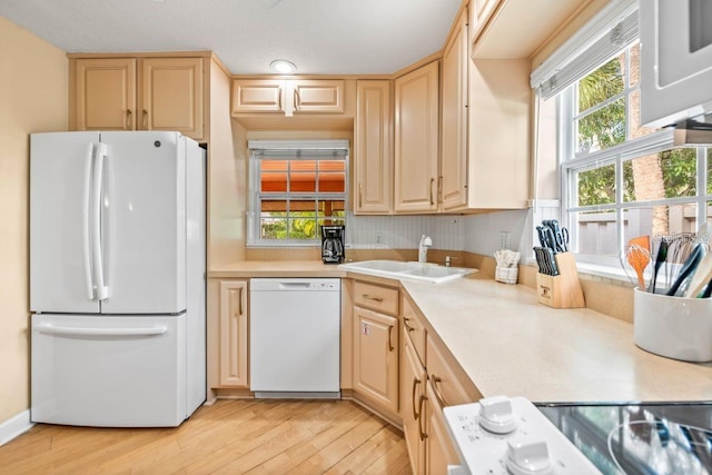 kitchen with light brown cabinets, light hardwood / wood-style floors, white appliances, and sink