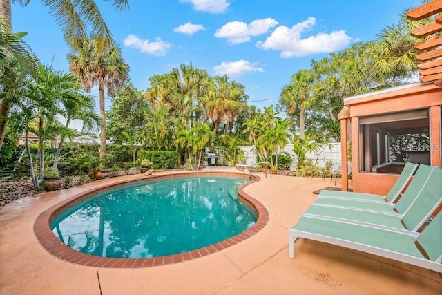 view of swimming pool featuring a sunroom and a patio