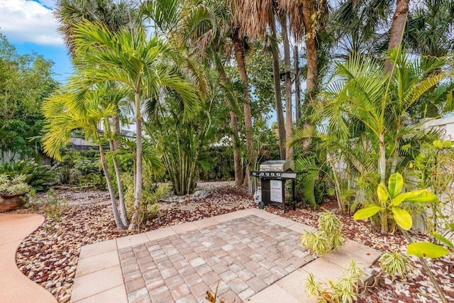 view of patio with a grill