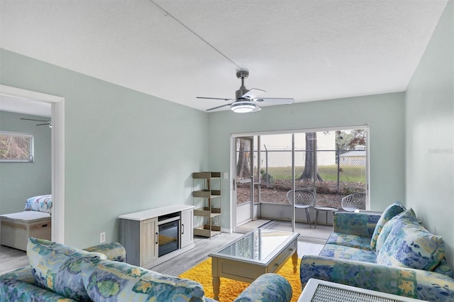 living room with light hardwood / wood-style floors and a textured ceiling