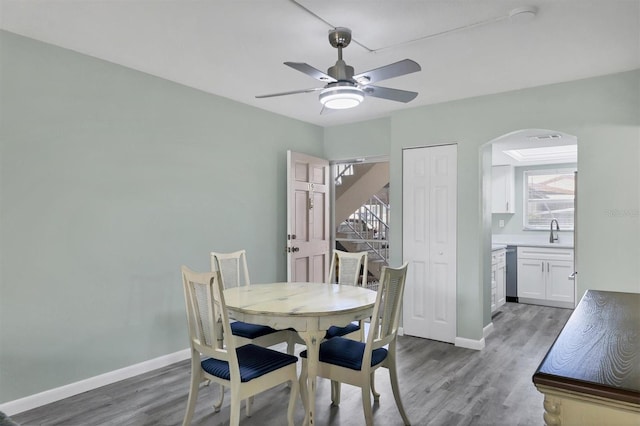 dining room with ceiling fan, sink, and dark wood-type flooring