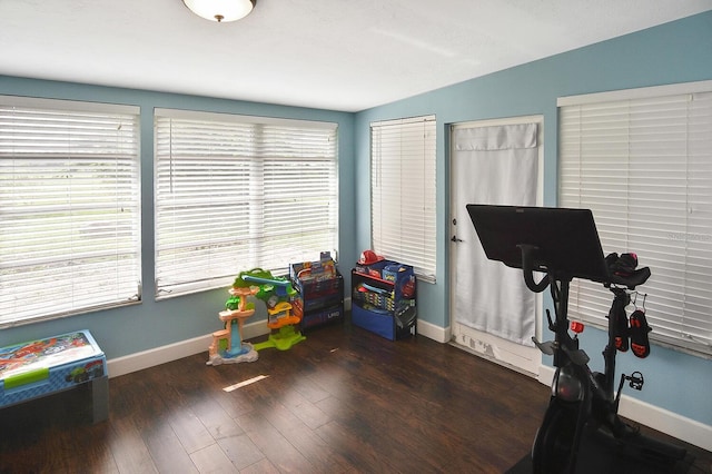 interior space with vaulted ceiling and dark hardwood / wood-style floors