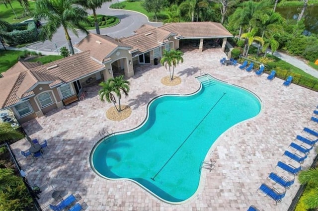 view of pool with a patio area