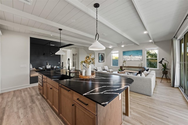 kitchen featuring pendant lighting, light hardwood / wood-style floors, a kitchen island with sink, and sink