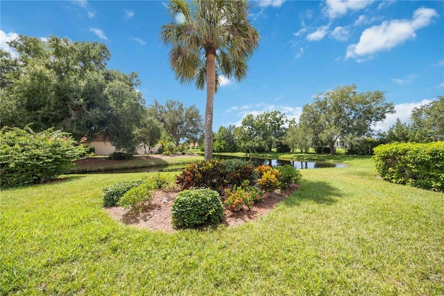 view of yard with a water view