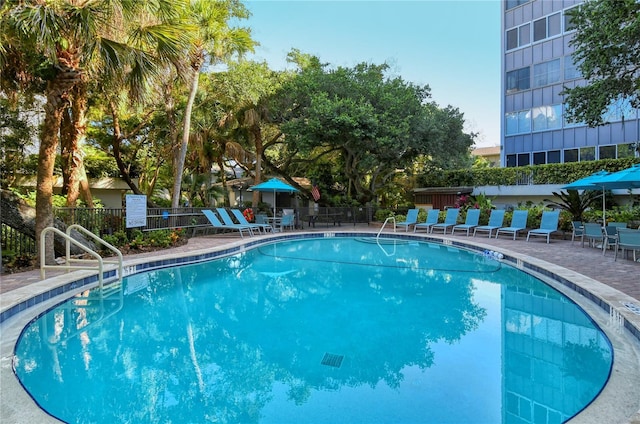 view of swimming pool featuring a patio