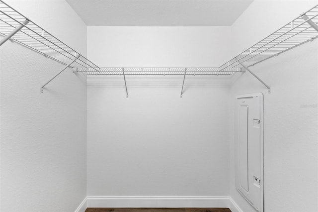 spacious closet with hardwood / wood-style floors