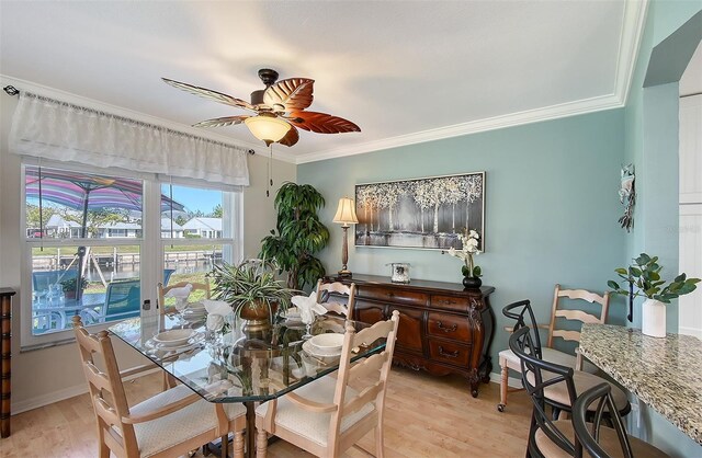 dining area with light hardwood / wood-style flooring, ceiling fan, and ornamental molding