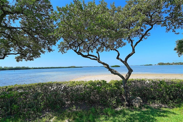 water view featuring a beach view