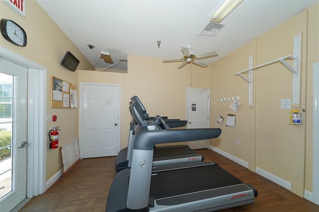 exercise room featuring dark hardwood / wood-style floors and ceiling fan