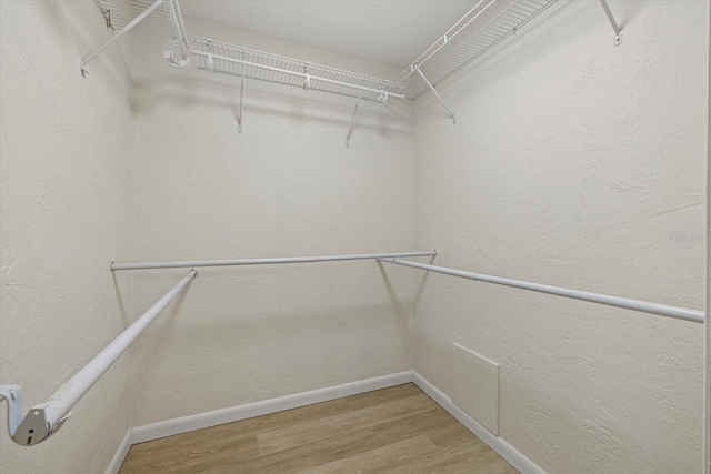 spacious closet featuring wood-type flooring