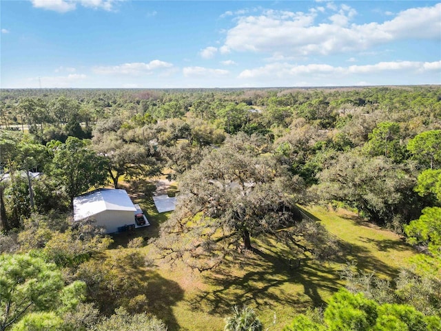 2391 Lippincott Rd, Alva, FL 33920 - photo 36