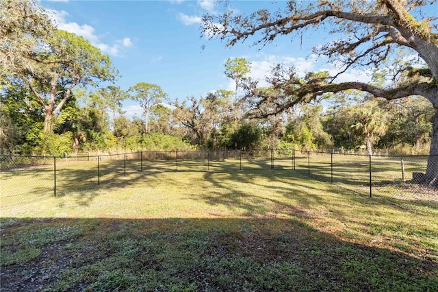 2391 Lippincott Rd, Alva, FL 33920 - photo 37