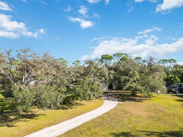 2391 Lippincott Rd, Alva, FL 33920 - photo 38