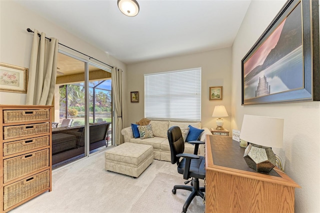 home office with light carpet