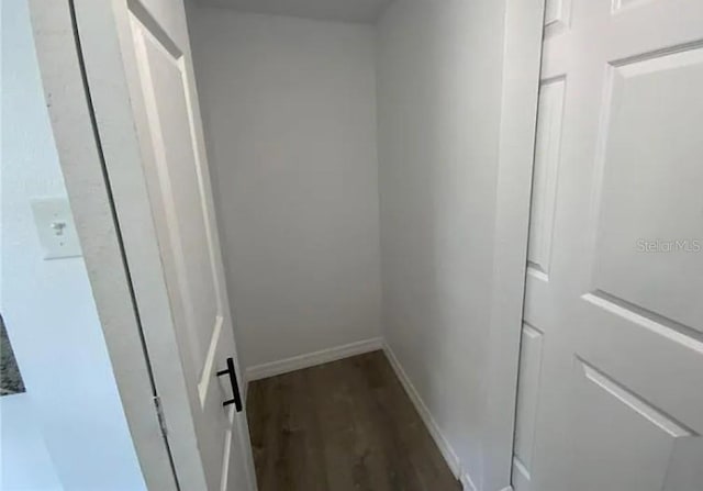 walk in closet featuring dark hardwood / wood-style flooring