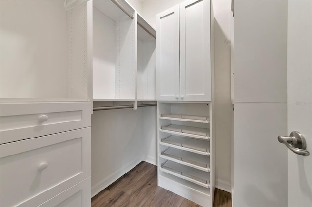 walk in closet with dark hardwood / wood-style flooring