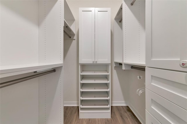 spacious closet featuring dark hardwood / wood-style flooring