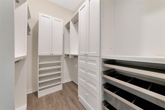 spacious closet with light wood-type flooring