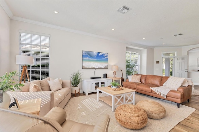 living room with light wood-type flooring, a wealth of natural light, and crown molding