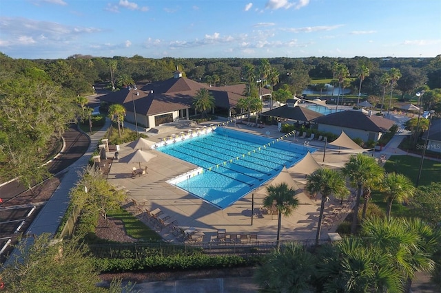 view of swimming pool featuring a patio area