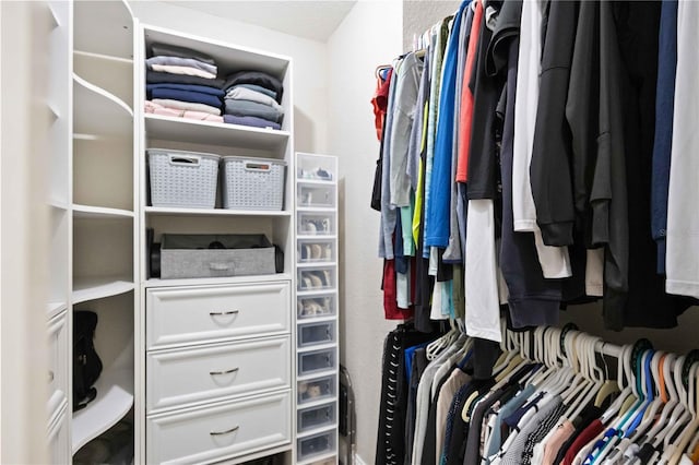 view of walk in closet