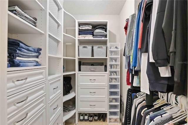 view of walk in closet