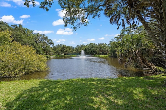 property view of water