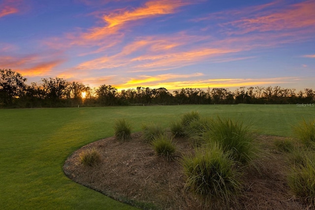 view of yard at dusk