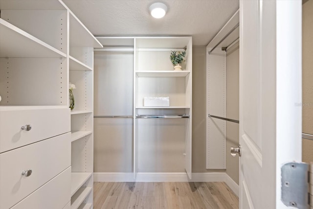 spacious closet with light wood-type flooring