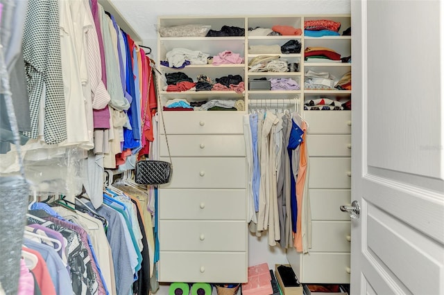 view of walk in closet