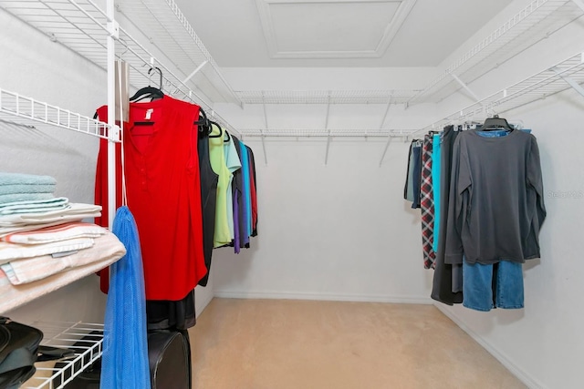 spacious closet with light colored carpet