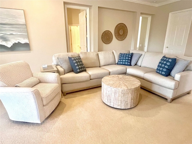 carpeted living room with crown molding