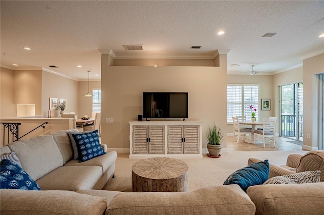 living room featuring ceiling fan, ornamental molding, carpet, and a textured ceiling