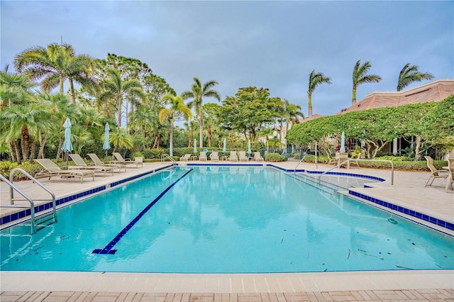 view of swimming pool with a patio