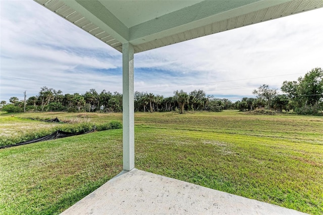 view of yard featuring a patio area