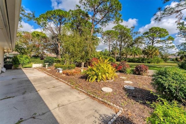 view of yard with a patio area