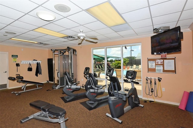 exercise room featuring carpet flooring, a drop ceiling, and ceiling fan